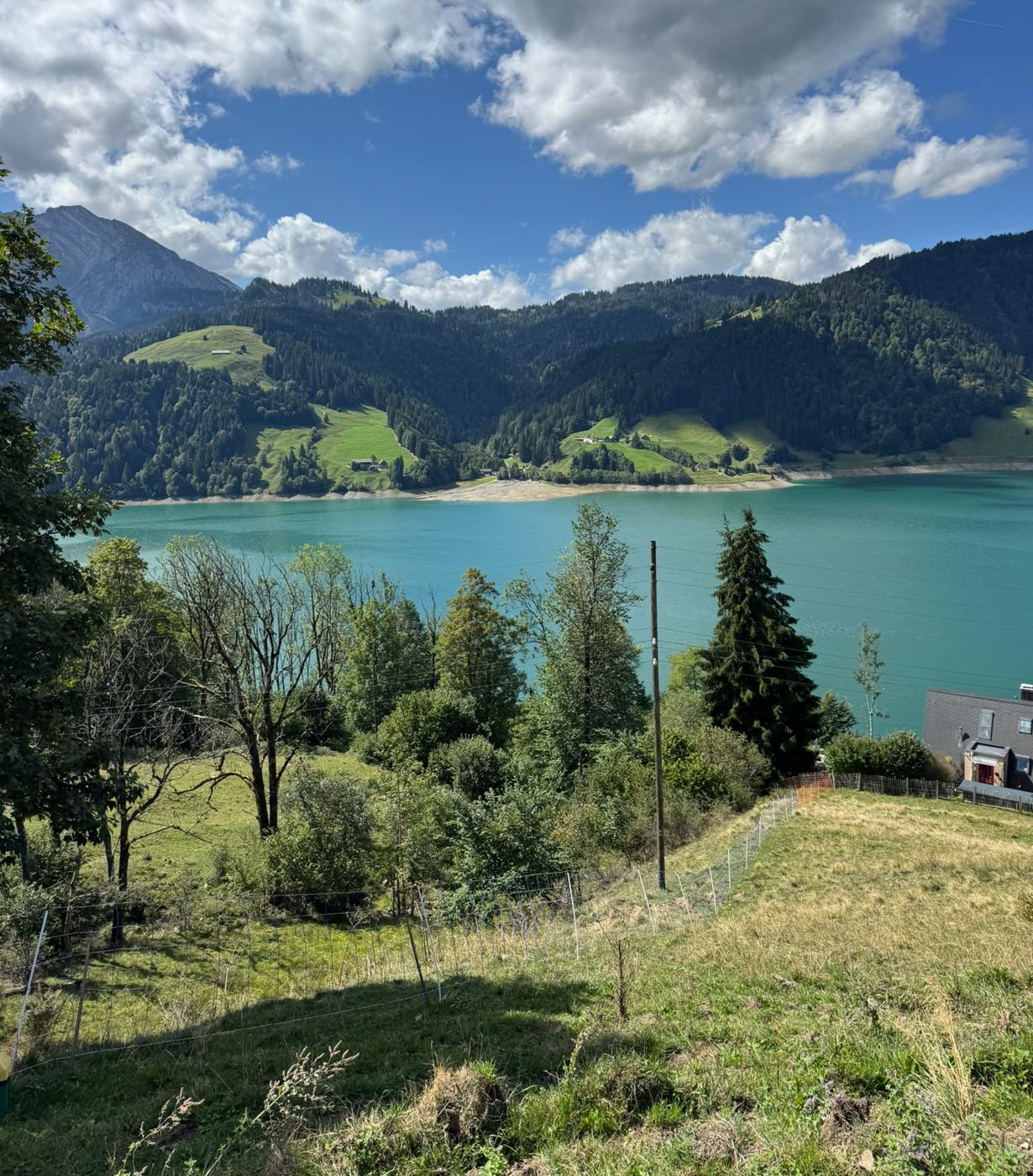 Türkisblauer Wägitalersee im Sommer